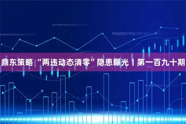 鼎东策略 “两违动态清零”隐患曝光丨第一百九十期